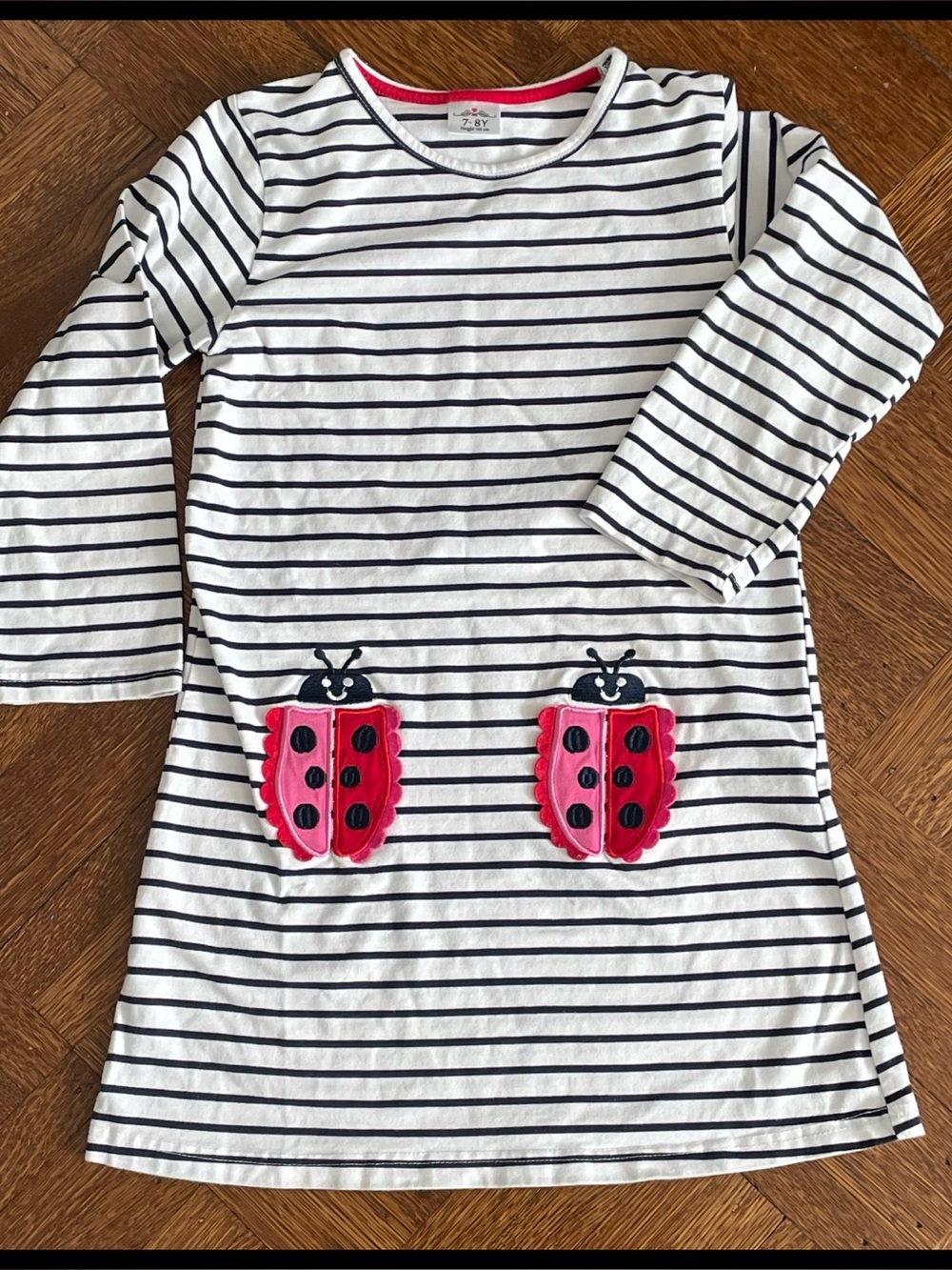 🆕 Striped Long Sleeve Dress with Embroidered Ladybugs